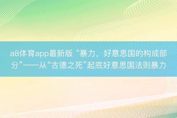 a8体育app最新版 “暴力，好意思国的构成部分”——从“古德之死”起底好意思国法则暴力