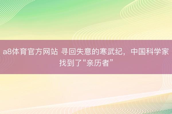 a8体育官方网站 寻回失意的寒武纪，中国科学家找到了“亲历者”