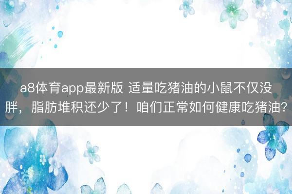 a8体育app最新版 适量吃猪油的小鼠不仅没胖，脂肪堆积还少了！咱们正常如何健康吃猪油？