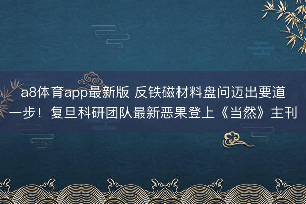 a8体育app最新版 反铁磁材料盘问迈出要道一步！复旦科研团队最新恶果登上《当然》主刊