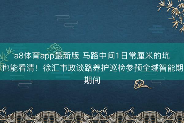 a8体育app最新版 马路中间1日常厘米的坑洼也能看清！徐汇市政谈路养护巡检参预全域智能期间