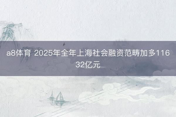 a8体育 2025年全年上海社会融资范畴加多11632亿元