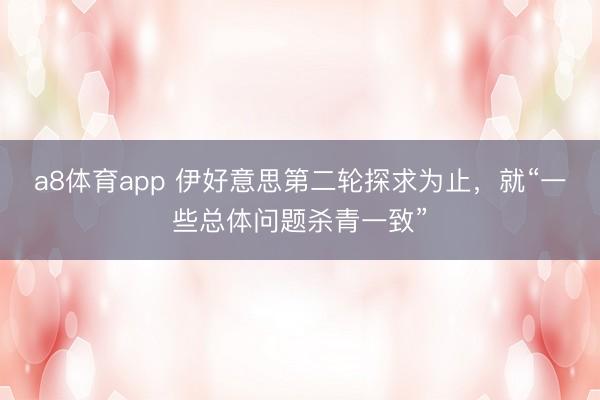a8体育app 伊好意思第二轮探求为止,就“一些总体问题杀青一致”