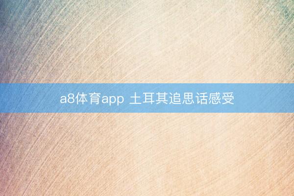 a8体育app 土耳其追思话感受