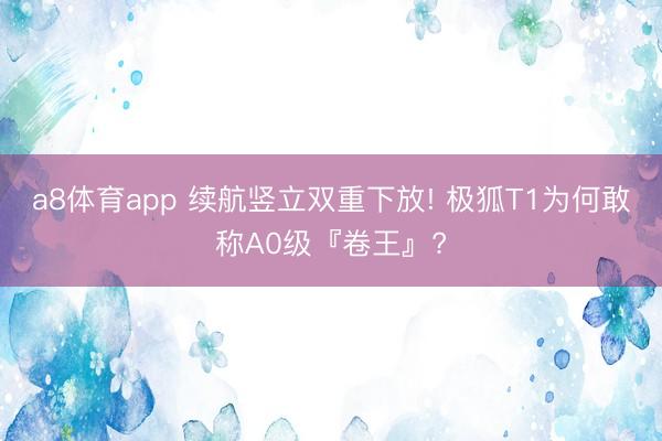 a8体育app 续航竖立双重下放! 极狐T1为何敢称A0级『卷王』?