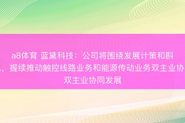a8体育 蓝黛科技：公司将围绕发展计策和斟酌意见，握续推动触控线路业务和能源传动业务双主业协同发展