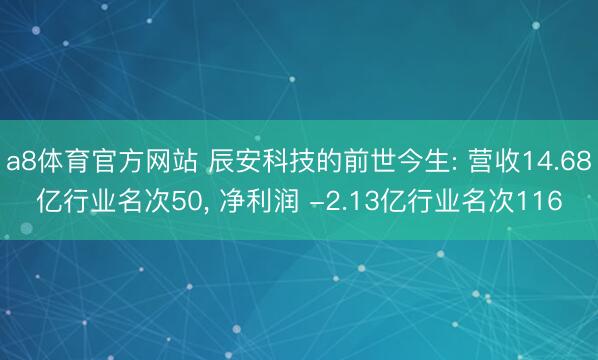 a8体育官方网站 辰安科技的前世今生: 营收14.68亿行业名次50, 净利润 -2.13亿行业名次116