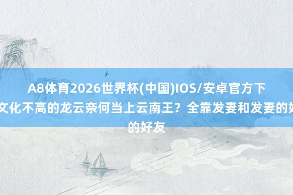 A8体育2026世界杯(中国)IOS/安卓官方下载 文化不高的龙云奈何当上云南王？全靠发妻和发妻的好友