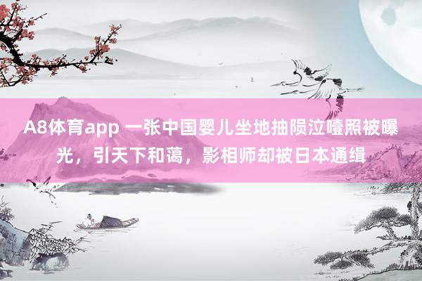 A8体育app 一张中国婴儿坐地抽陨泣噎照被曝光,引天下和蔼,影相师却被日本通缉