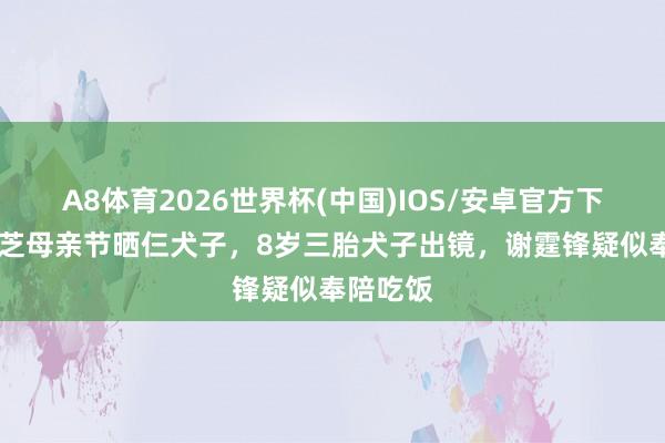 A8体育2026世界杯(中国)IOS/安卓官方下载 张柏芝母亲节晒仨犬子,8岁三胎犬子出镜,谢霆锋疑似奉陪吃饭