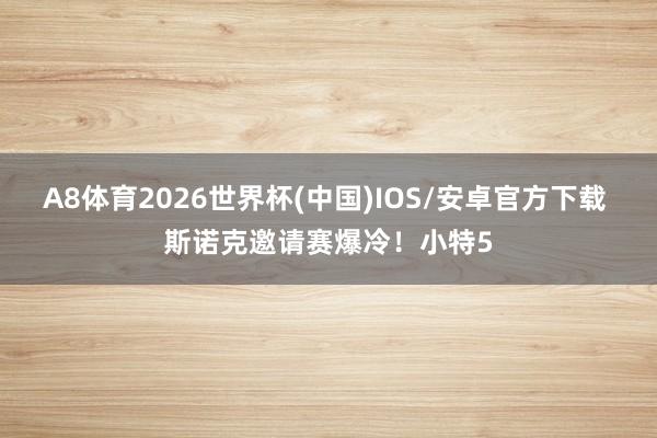 A8体育2026世界杯(中国)IOS/安卓官方下载 斯诺克邀请赛爆冷!小特5