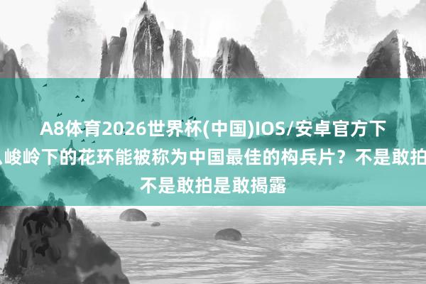 A8体育2026世界杯(中国)IOS/安卓官方下载 为什么峻岭下的花环能被称为中国最佳的构兵片?不是敢拍是敢揭露