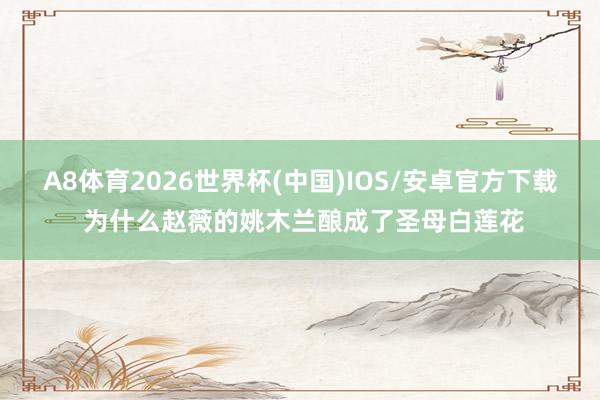 A8体育2026世界杯(中国)IOS/安卓官方下载 为什么赵薇的姚木兰酿成了圣母白莲花