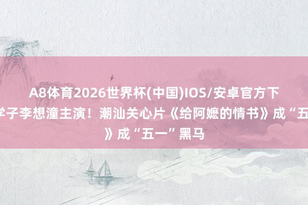 A8体育2026世界杯(中国)IOS/安卓官方下载 广财学子李想潼主演!潮汕关心片《给阿嬷的情书》成“五一”黑马