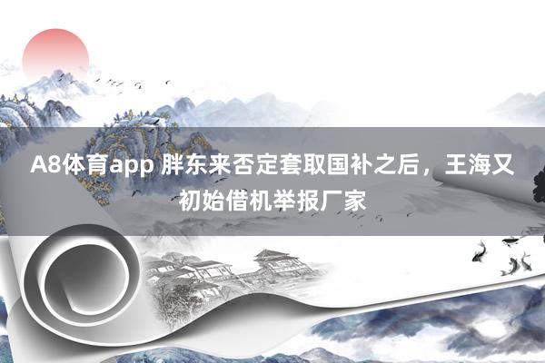 A8体育app 胖东来否定套取国补之后,王海又初始借机举报厂家
