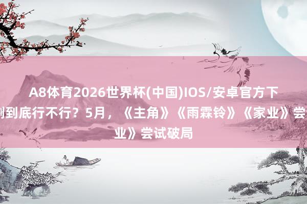 A8体育2026世界杯(中国)IOS/安卓官方下载 长剧到底行不行?5月,《主角》《雨霖铃》《家业》尝试破局