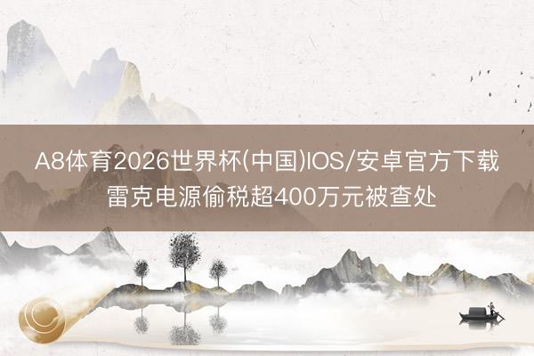 A8体育2026世界杯(中国)IOS/安卓官方下载 雷克电源偷税超400万元被查处