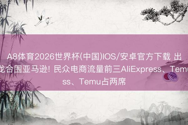 A8体育2026世界杯(中国)IOS/安卓官方下载 出海四小龙合围亚马逊! 民众电商流量前三AliExpress、Temu占两席