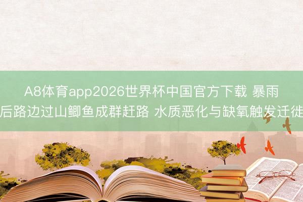 A8体育app2026世界杯中国官方下载 暴雨后路边过山鲫鱼成群赶路 水质恶化与缺氧触发迁徙