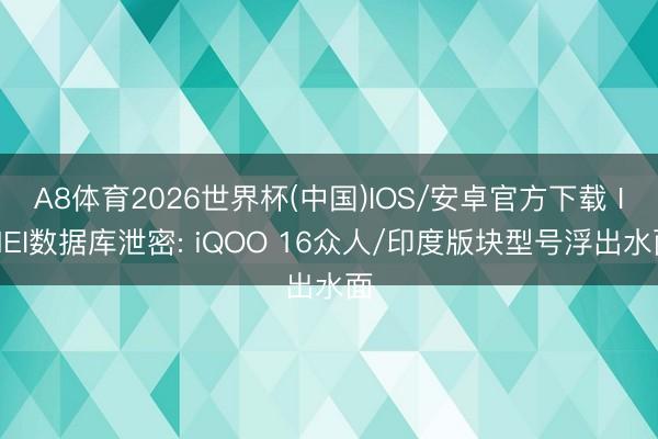 A8体育2026世界杯(中国)IOS/安卓官方下载 IMEI数据库泄密: iQOO 16众人/印度版块型号浮出水面