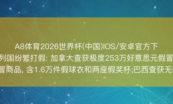 A8体育2026世界杯(中国)IOS/安卓官方下载 天下杯开赛在即, 列国纷繁打假: 加拿大查获极度253万好意思元假冒商品, 含1.6万件假球衣和两座假奖杯;巴西查获无数假球衣与20万张贴纸