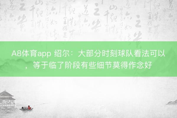A8体育app 绍尔：大部分时刻球队看法可以，等于临了阶段有些细节莫得作念好