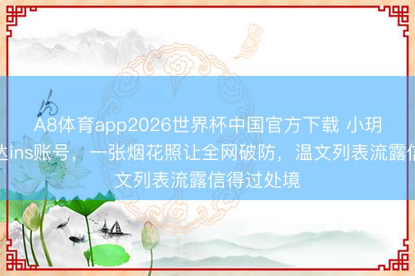 A8体育app2026世界杯中国官方下载 小玥儿暗暗通达ins账号，一张烟花照让全网破防，温文列表流露信得过处境