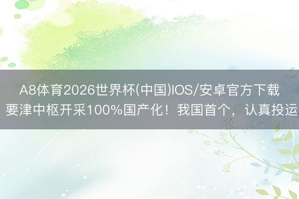 A8体育2026世界杯(中国)IOS/安卓官方下载 要津中枢开采100%国产化!我国首个,认真投运