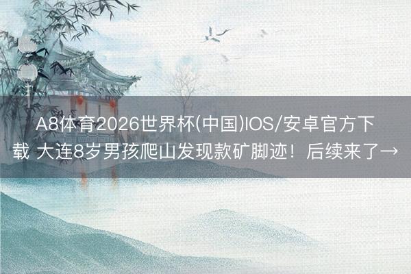 A8体育2026世界杯(中国)IOS/安卓官方下载 大连8岁男孩爬山发现款矿脚迹!后续来了→