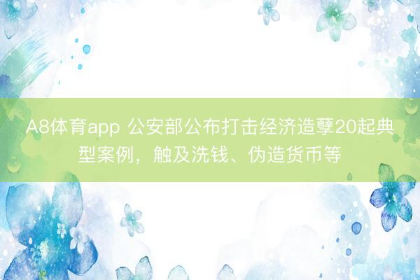 A8体育app 公安部公布打击经济造孽20起典型案例，触及洗钱、伪造货币等