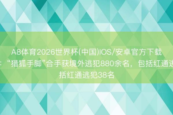 A8体育2026世界杯(中国)IOS/安卓官方下载 公安部:“猎狐手脚”合手获境外逃犯880余名,包括红通逃犯38名