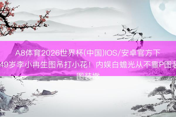 A8体育2026世界杯(中国)IOS/安卓官方下载 49岁李小冉生图吊打小花！内娱白蟾光从不靠P图装嫩